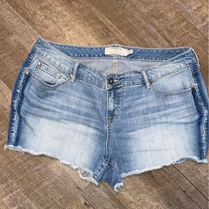 Torrid denim cut off shorts